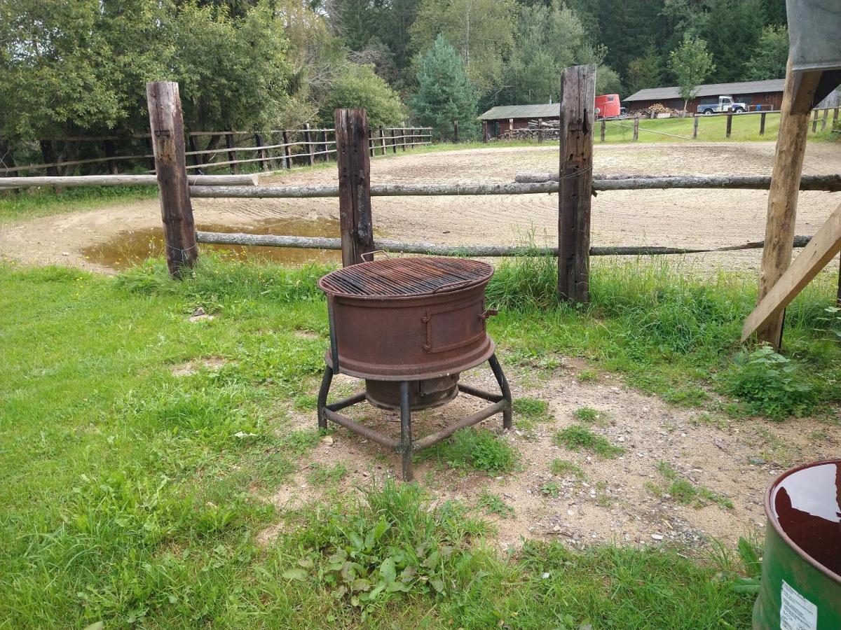 Penzion Farma U Mauritzu Stozec Exterior photo